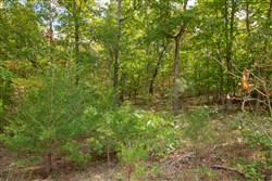 property photo for Wagon Wheel Ranch Tract 49, 9.98 acres for sale in Dent County, Missouri