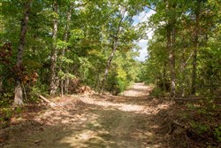 property photo for Wagon Wheel Ranch Tract 49, 9.98 acres for sale in Dent County, Missouri