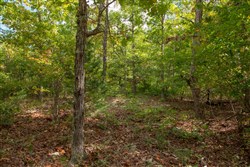 property photo for Wagon Wheel Ranch Tract 49, 9.98 acres for sale in Dent County, Missouri