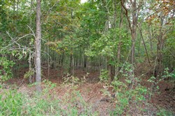 Wagon Wheel Ranch Tract 5