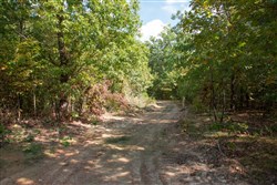 Wagon Wheel Ranch Tract 5