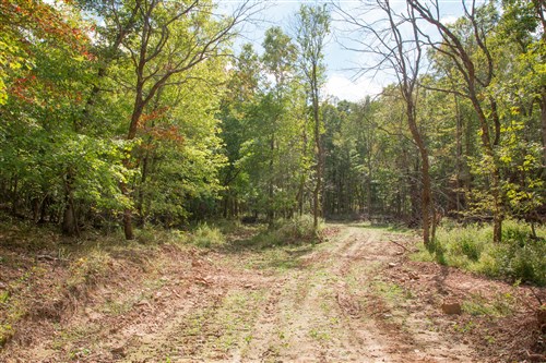 Wagon Wheel Ranch Tract 50