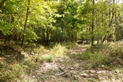 Wagon Wheel Ranch Tract 50