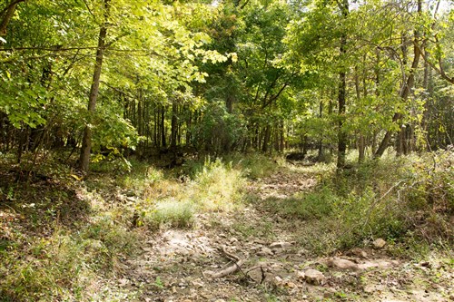 Wagon Wheel Ranch Tract 50