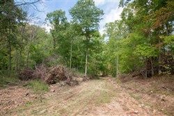 Wagon Wheel Ranch Tract 50