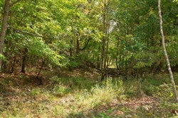 Wagon Wheel Ranch Tract 50