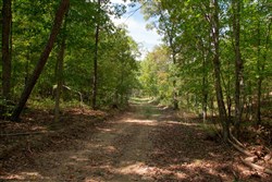 property photo for Wagon Wheel Ranch Tract 51, 11.68 acres for sale in Dent County, Missouri