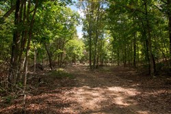 property photo for Wagon Wheel Ranch Tract 51, 11.68 acres for sale in Dent County, Missouri
