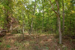 property photo for Wagon Wheel Ranch Tract 51, 11.68 acres for sale in Dent County, Missouri