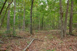 property photo for Wagon Wheel Ranch Tract 51, 11.68 acres for sale in Dent County, Missouri