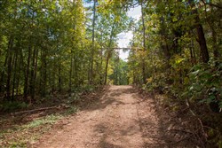 property photo for Wagon Wheel Ranch Tract 52, 6.65 acres for sale in Dent County, Missouri