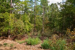 property photo for Wagon Wheel Ranch Tract 52, 6.65 acres for sale in Dent County, Missouri