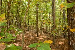 property photo for Wagon Wheel Ranch Tract 52, 6.65 acres for sale in Dent County, Missouri