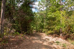 property photo for Wagon Wheel Ranch Tract 52, 6.65 acres for sale in Dent County, Missouri
