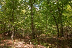 property photo for Wagon Wheel Ranch Tract 52, 6.65 acres for sale in Dent County, Missouri
