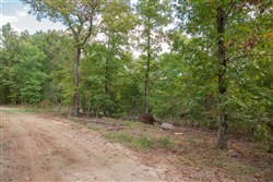 property photo for Wagon Wheel Ranch Tract 53, 7.5 acres for sale in Dent County, Missouri