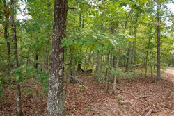 property photo for Wagon Wheel Ranch Tract 53, 7.5 acres for sale in Dent County, Missouri