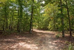 property photo for Wagon Wheel Ranch Tract 53, 7.5 acres for sale in Dent County, Missouri