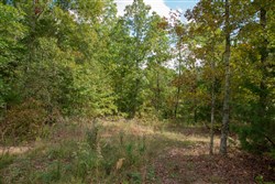 property photo for Wagon Wheel Ranch Tract 53, 7.5 acres for sale in Dent County, Missouri