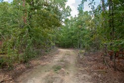 property photo for Wagon Wheel Ranch Tract 54, 7.78 acres for sale in Dent County, Missouri