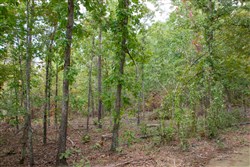 property photo for Wagon Wheel Ranch Tract 54, 7.78 acres for sale in Dent County, Missouri