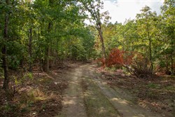 property photo for Wagon Wheel Ranch Tract 54, 7.78 acres for sale in Dent County, Missouri