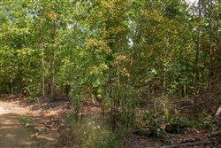 property photo for Wagon Wheel Ranch Tract 54, 7.78 acres for sale in Dent County, Missouri