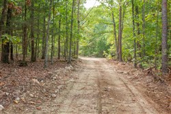 property photo for Wagon Wheel Ranch Tract 55, 7.43 acres for sale in Dent County, Missouri