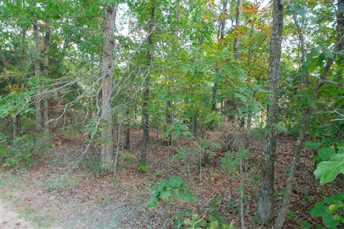 Wagon Wheel Ranch Tract 6