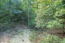 Wagon Wheel Ranch Tract 6