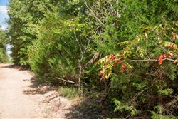 Wagon Wheel Ranch Tract 6