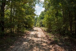property photo for Wagon Wheel Ranch Tract 7, 5 acres for sale in Dent County, Missouri