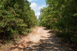 property photo for Wagon Wheel Ranch Tract 7, 5 acres for sale in Dent County, Missouri