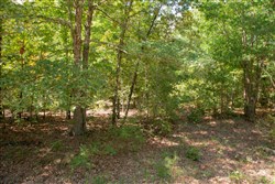 property photo for Wagon Wheel Ranch Tract 7, 5 acres for sale in Dent County, Missouri