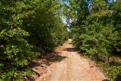 property photo for Wagon Wheel Ranch Tract 8, 5 acres for sale in Dent County, Missouri