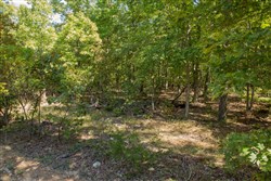 property photo for Wagon Wheel Ranch Tract 8, 5 acres for sale in Dent County, Missouri