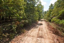 property photo for Wagon Wheel Ranch Tract 8, 5 acres for sale in Dent County, Missouri