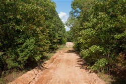 property photo for Wagon Wheel Ranch Tract 9, 7.5 acres for sale in Dent County, Missouri