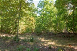 property photo for Wagon Wheel Ranch Tract 9, 7.5 acres for sale in Dent County, Missouri