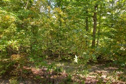 property photo for Wagon Wheel Ranch Tract 9, 7.5 acres for sale in Dent County, Missouri