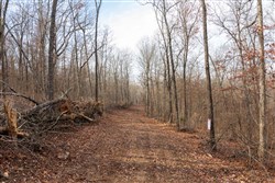 Crossroads Tract 23