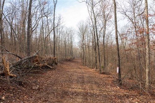Crossroads Tract 23