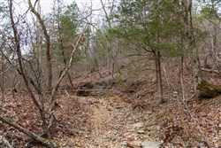 Crossroads Tract 23
