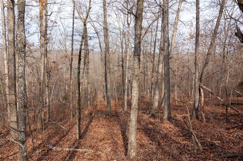 Crossroads Tract 23