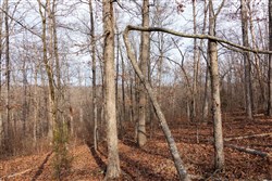 Crossroads Tract 23