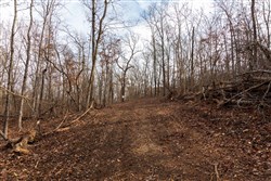 Crossroads Tract 23