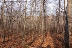 Crossroads Tract 23