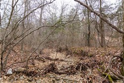 property photo for Crossroads Tract 5, 5.22 acres for sale in Douglas County, Missouri
