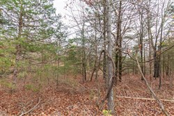 property photo for Crossroads Tract 5, 5.22 acres for sale in Douglas County, Missouri