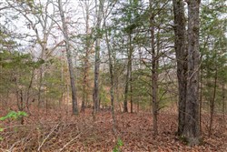 property photo for Crossroads Tract 5, 5.22 acres for sale in Douglas County, Missouri